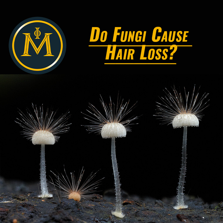 Do Fungi Cause Hair Loss?