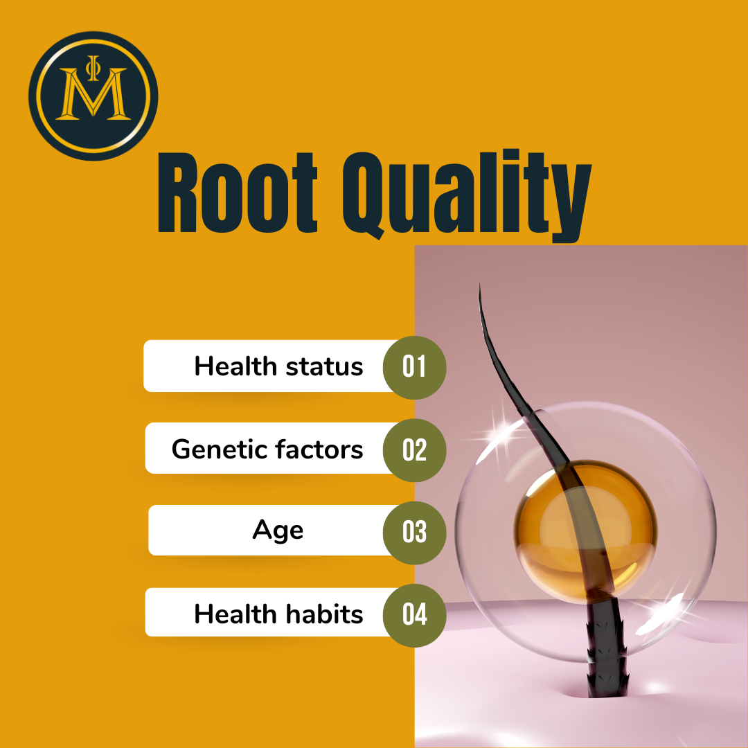 What Does Root Quality Mean in Hair Transplantation?