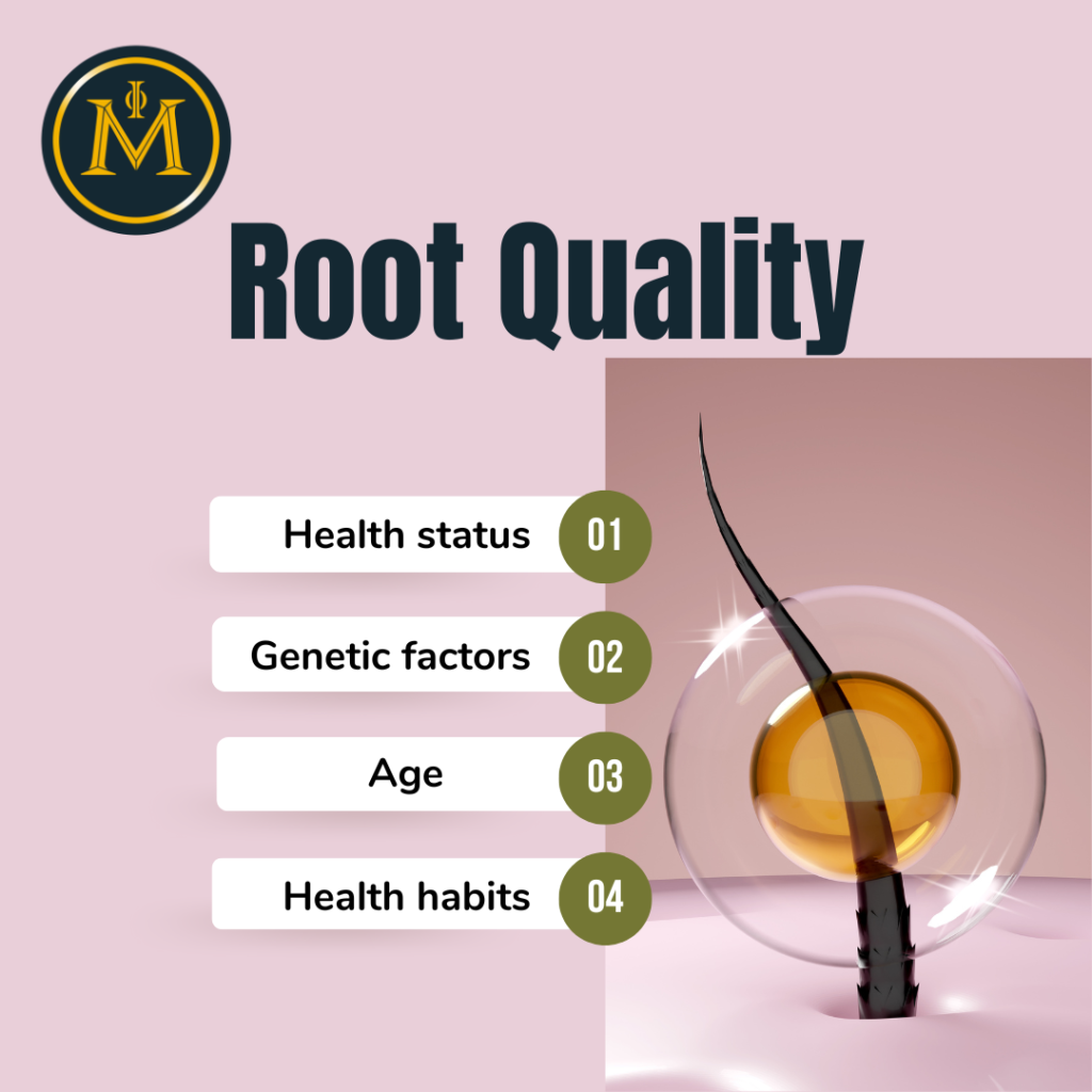 What Does Root Quality Mean in Hair Transplantation?